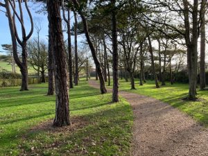 The Rookery Camping area